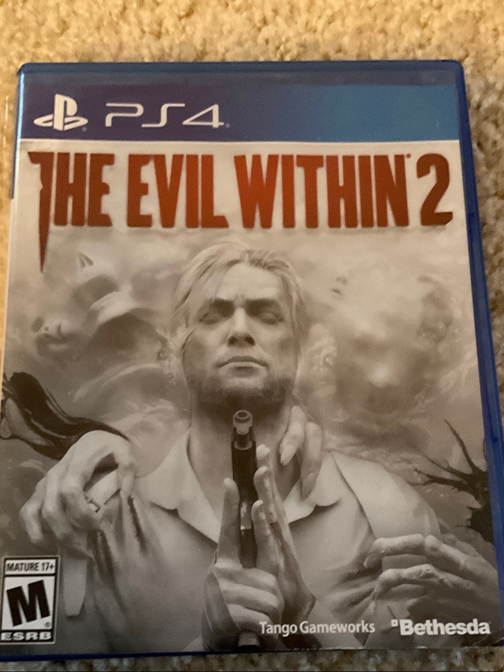 PS4 The Evil Within 2 - Gray Cover by PlayStation